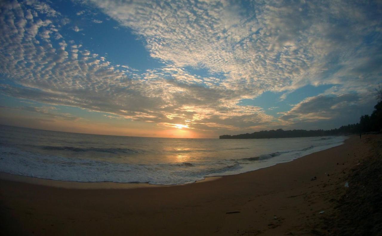 Feel The Waves Hotel Arugam Bay Exterior photo